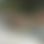 Portrait de Sakura69